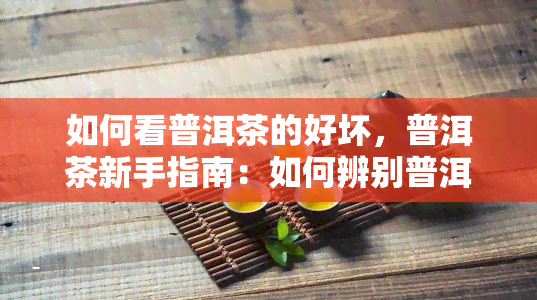 如何看普洱茶的好坏，普洱茶新手指南：如何辨别普洱茶的好坏？