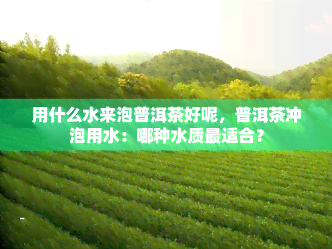 用什么水来泡普洱茶好呢，普洱茶冲泡用水：哪种水质最适合？