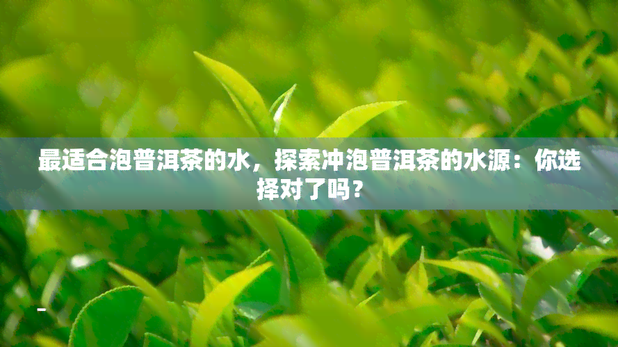 最适合泡普洱茶的水，探索冲泡普洱茶的水源：你选择对了吗？