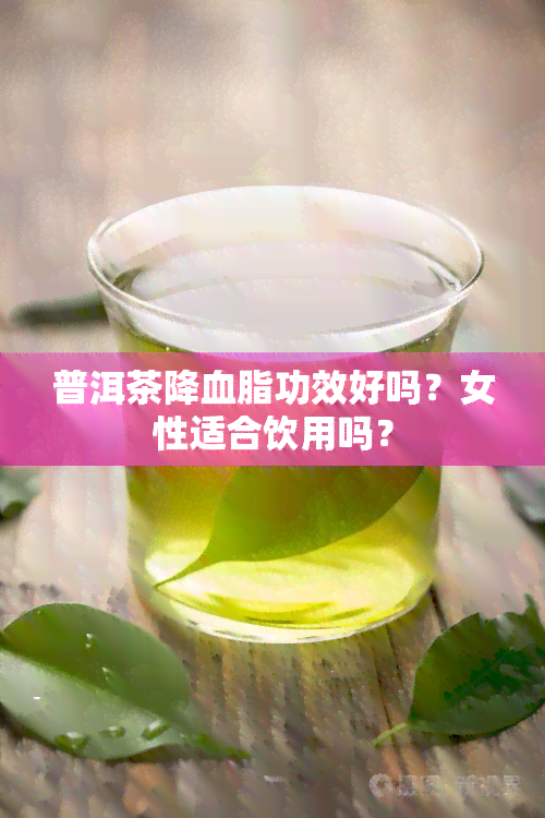 普洱茶降血脂功效好吗？女性适合饮用吗？