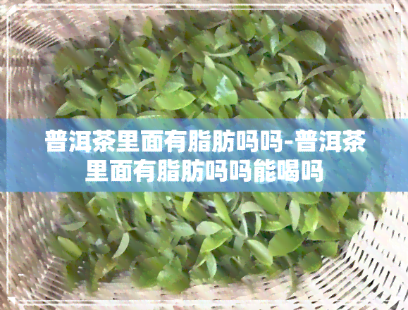 普洱茶里面有脂肪吗吗-普洱茶里面有脂肪吗吗能喝吗