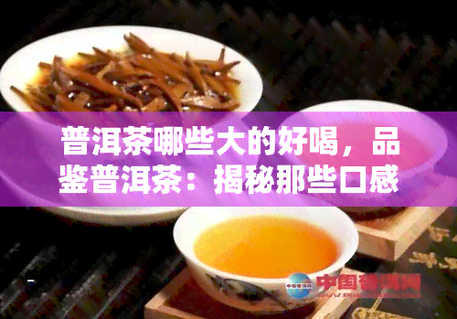 普洱茶哪些大的好喝，品鉴普洱茶：揭秘那些口感醇厚的知名