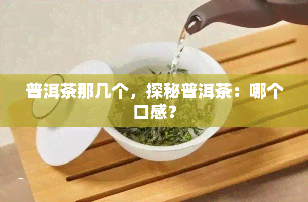 普洱茶那几个，探秘普洱茶：哪个口感？