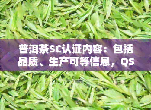 普洱茶SC认证内容：包括品质、生产可等信息，QS与云南普洱茶认证中心也涉及其中。了解普洱茶品茶检验标准。