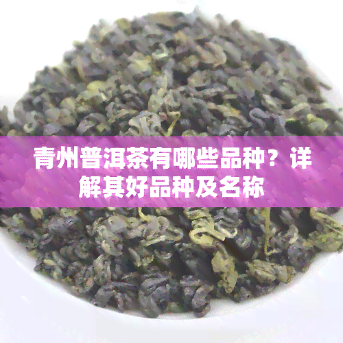 青州普洱茶有哪些品种？详解其好品种及名称