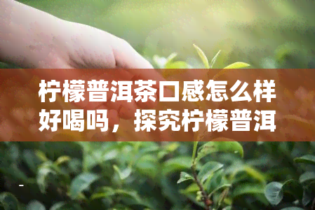 柠檬普洱茶口感怎么样好喝吗，探究柠檬普洱茶的口感：究竟好喝吗？