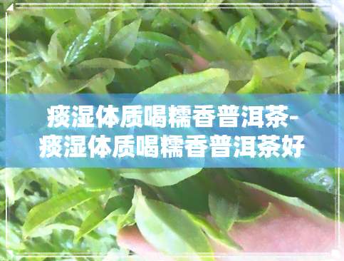 痰湿体质喝糯香普洱茶-痰湿体质喝糯香普洱茶好吗