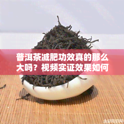 普洱茶减肥功效真的那么大吗？视频实证效果如何？