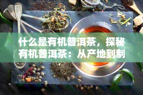 什么是有机普洱茶，探秘有机普洱茶：从产地到制作，了解其独特之处