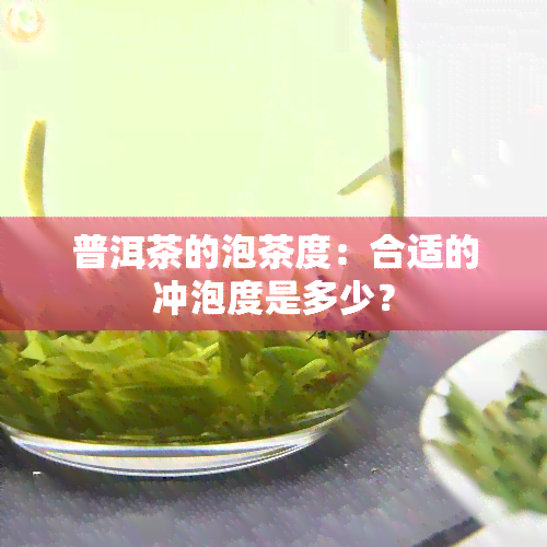 普洱茶的泡茶度：合适的冲泡度是多少？