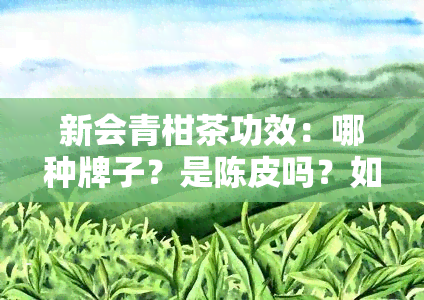 新会青柑茶功效：哪种牌子？是陈皮吗？如何泡制？对健有何益处？