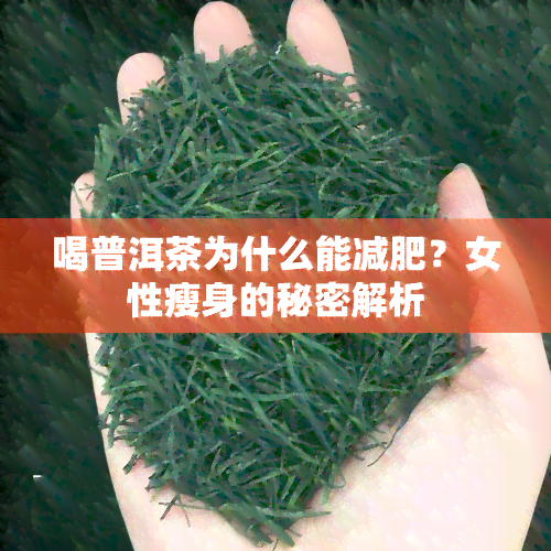 喝普洱茶为什么能减肥？女性瘦身的秘密解析