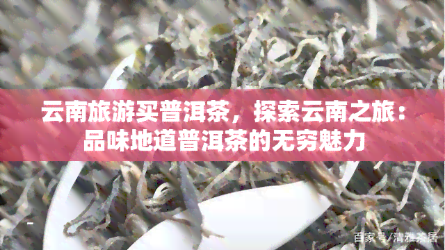 云南旅游买普洱茶，探索云南之旅：品味地道普洱茶的无穷魅力