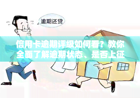 信用卡逾期评级如何看？教你全面了解逾期状态、是否上及信用报告情况