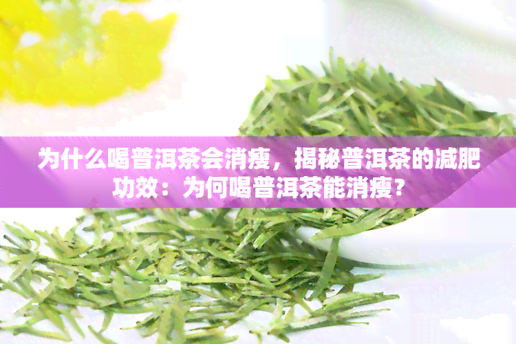 为什么喝普洱茶会消瘦，揭秘普洱茶的减肥功效：为何喝普洱茶能消瘦？