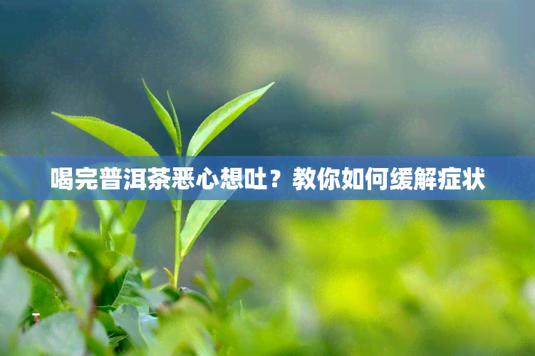 喝完普洱茶恶心想吐？教你如何缓解症状