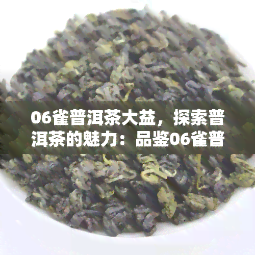 06雀普洱茶大益，探索普洱茶的魅力：品鉴06雀普洱茶大益