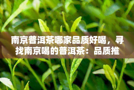 南京普洱茶哪家品质好喝，寻找南京喝的普洱茶：品质推荐与评测