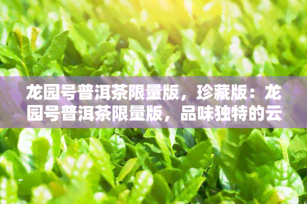 龙园号普洱茶限量版,珍藏版:龙园号普洱茶限量版,品味独特的云南风味