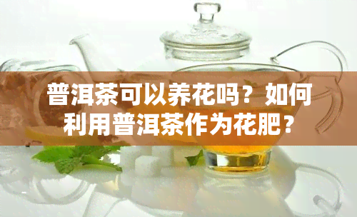 茶叶养花能过冬吗（茶叶花可以放室内吗） 茶叶养花能过冬吗（茶叶花可以放室内吗）《茶叶能养花不》 茶叶资讯