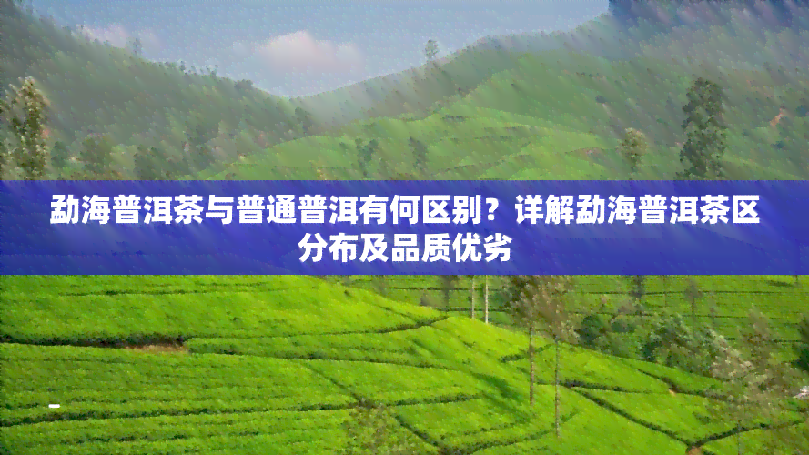 勐海普洱茶与普通普洱有何区别？详解勐海普洱茶区分布及品质优劣