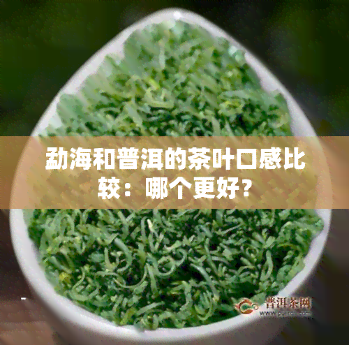 勐海和普洱的茶叶口感比较：哪个更好？