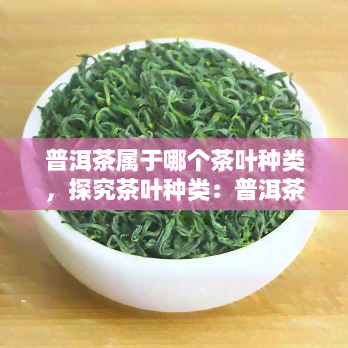 普洱茶属于哪个茶叶种类，探究茶叶种类：普洱茶属于哪一类别？