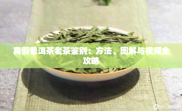 真假普洱茶老茶鉴别：方法、图解与视频全攻略