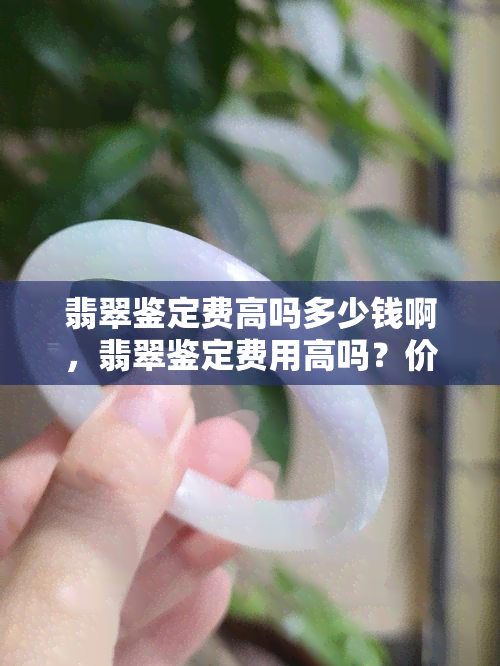 翡翠鉴定费高吗多少钱啊，翡翠鉴定费用高吗？价格多少？