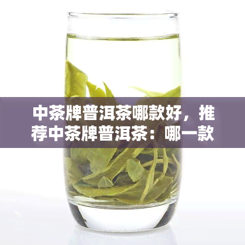 中茶牌普洱茶哪款好，推荐中茶牌普洱茶：哪一款最值得购买？