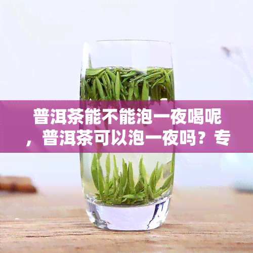 普洱茶能不能泡一夜喝呢，普洱茶可以泡一夜吗？专家解析