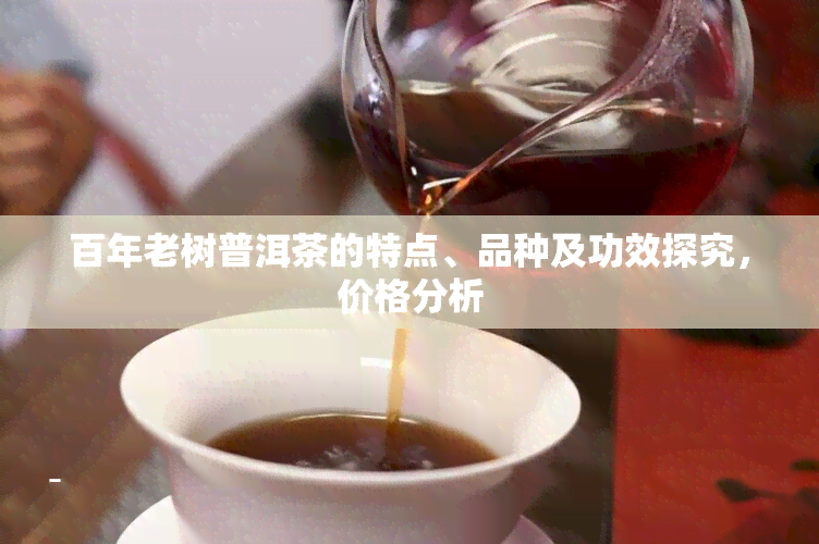 百年老树普洱茶的特点、品种及功效探究，价格分析