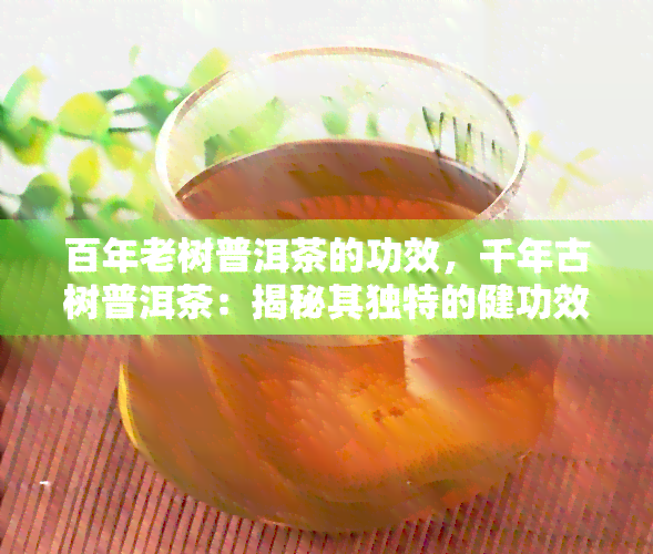 百年老树普洱茶的功效，千年古树普洱茶：揭秘其独特的健功效