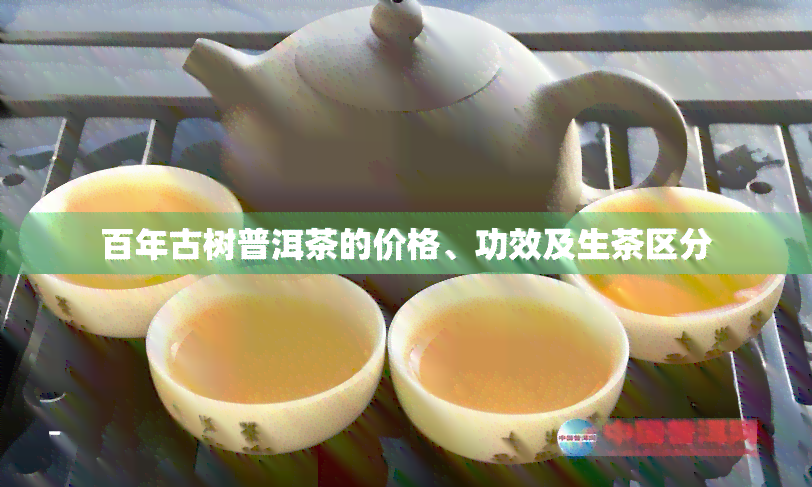 百年古树普洱茶的价格、功效及生茶区分