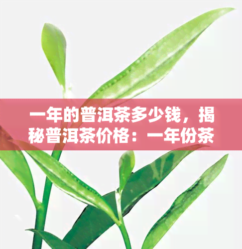 一年的普洱茶多少钱，揭秘普洱茶价格：一年份茶叶值多少？