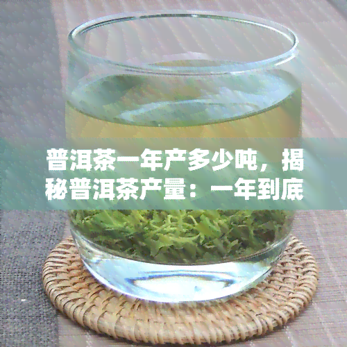 普洱茶一年产多少吨，揭秘普洱茶产量：一年到底能产出多少吨？