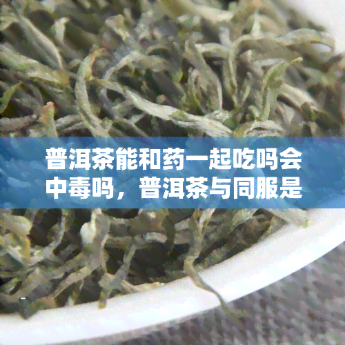 普洱茶能和一起吃吗会中吗，普洱茶与同服是否会导致中？