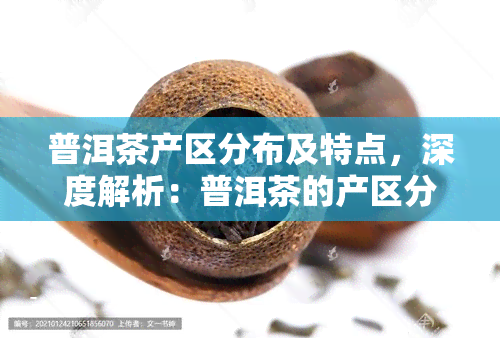 普洱茶产区分布及特点，深度解析：普洱茶的产区分布及其独特特点