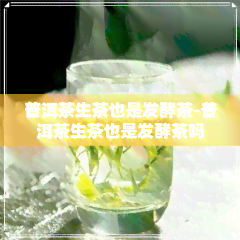 普洱茶生茶也是发酵茶-普洱茶生茶也是发酵茶吗