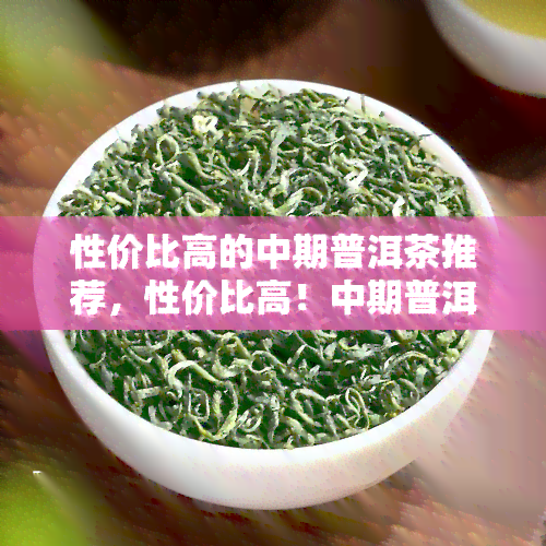 性价比高的中期普洱茶推荐，性价比高！中期普洱茶推荐，让你品味不一样的茶香世界！