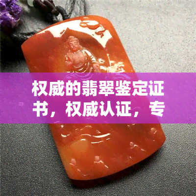 权威的翡翠鉴定证书，权威认证，专业鉴定：翡翠证书的重要性与选择指南