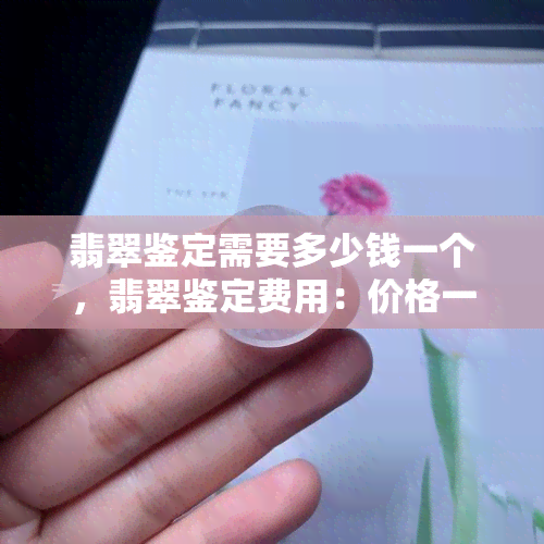 翡翠鉴定需要多少钱一个，翡翠鉴定费用：价格一览