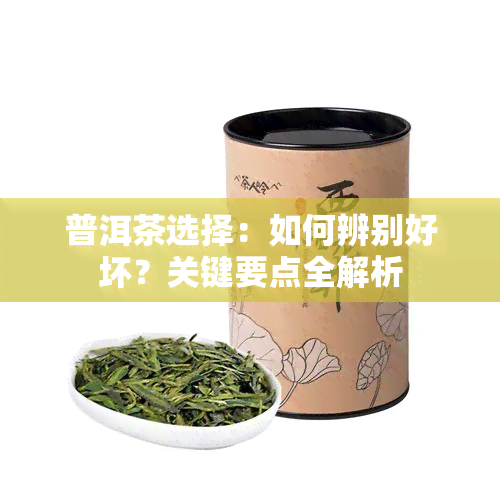 普洱茶选择：如何辨别好坏？关键要点全解析