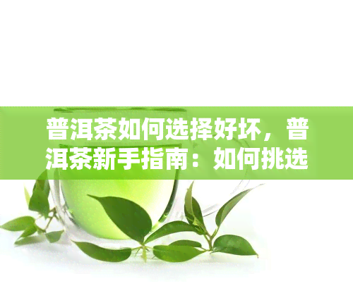 普洱茶如何选择好坏，普洱茶新手指南：如何挑选出好茶？