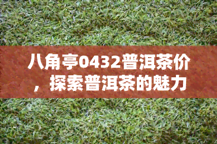 八角亭0432普洱茶价，探索普洱茶的魅力：八角亭0432的定价与品质