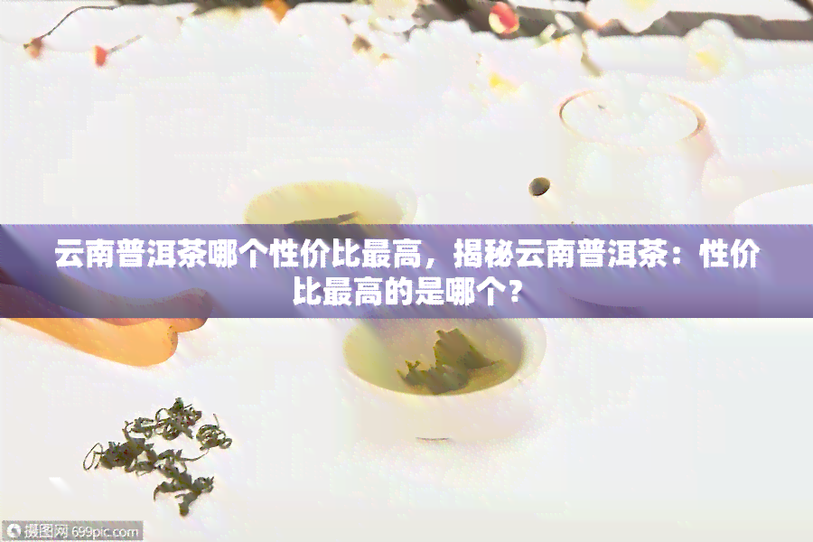 云南普洱茶哪个性价比更高，揭秘云南普洱茶：性价比更高的是哪个？