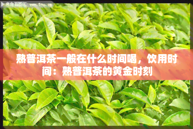 熟普洱茶一般在什么时间喝，饮用时间：熟普洱茶的黄金时刻