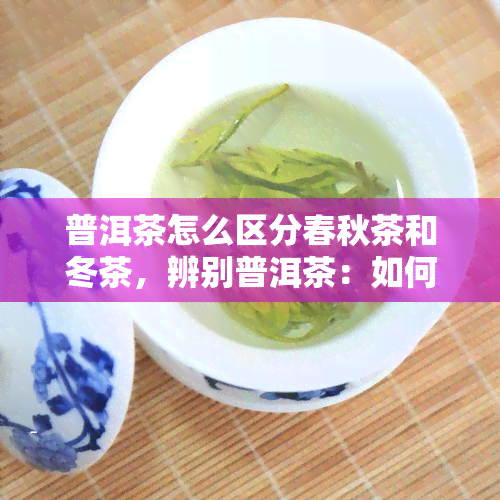 普洱茶怎么区分春秋茶和冬茶，辨别普洱茶：如何区分春秋茶与冬茶？