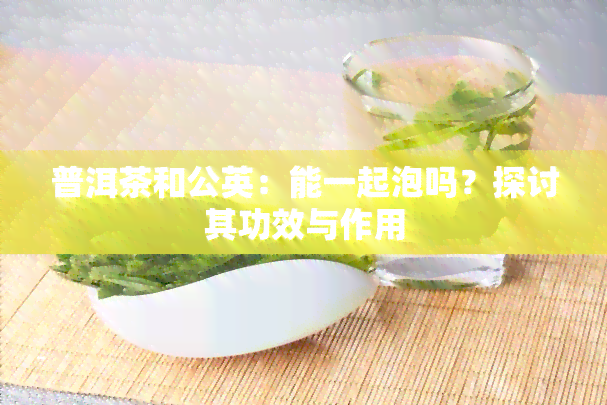 普洱茶和公英：能一起泡吗？探讨其功效与作用