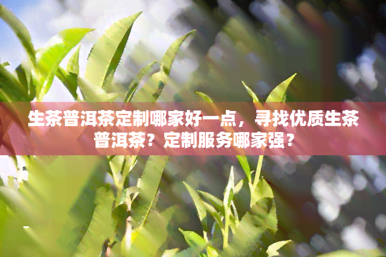 生茶普洱茶定制哪家好一点，寻找优质生茶普洱茶？定制服务哪家强？